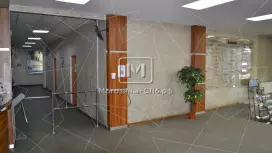 Гапсаль