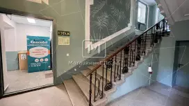 Пальма