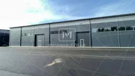 Колтуши