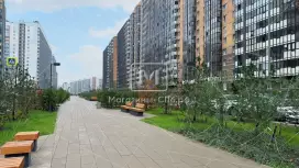 Алфавит
