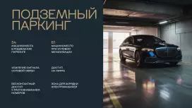 Попова 38