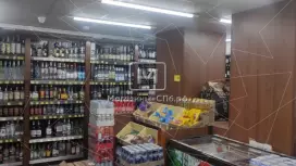 Дворцовый 22а
