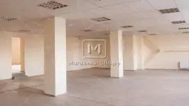 Вант