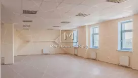 Вант