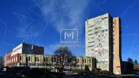 Пискарёвский