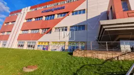Пискарёвский