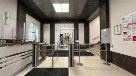 Прагма