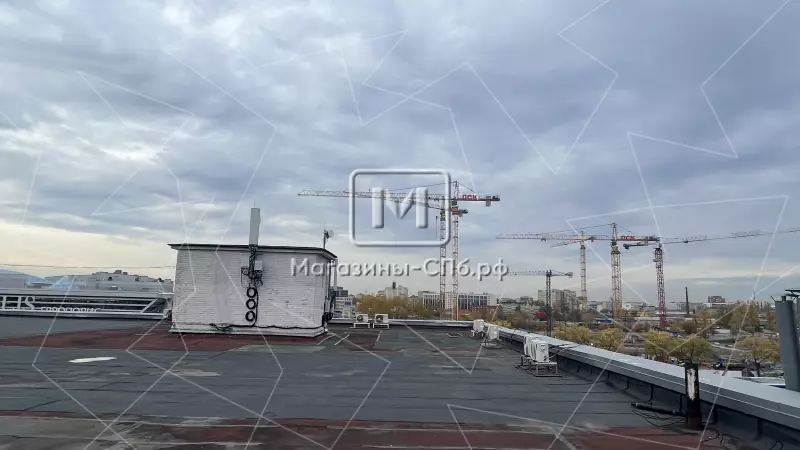 96.Фото  соседей в торговых
