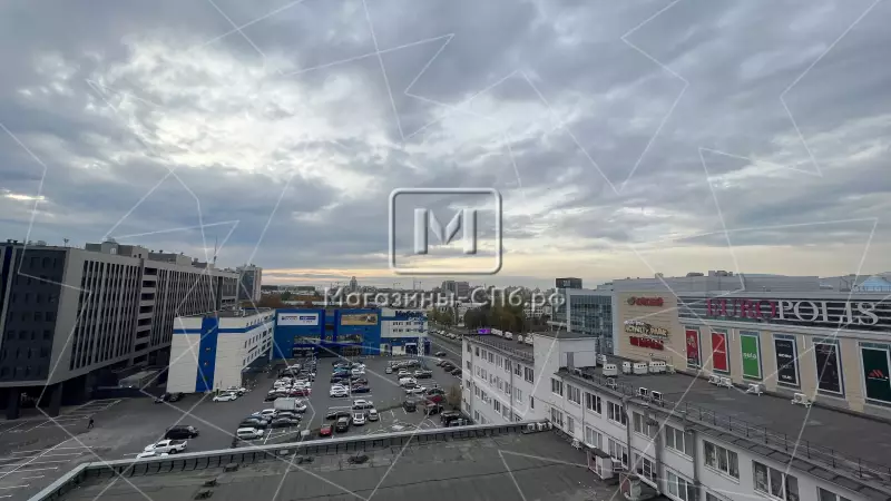 96.Фото  соседей в торговых