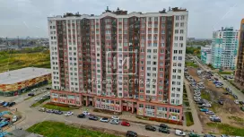 Фламинго