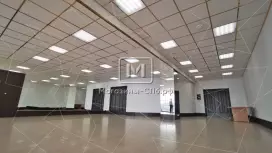 Грегорис Палас