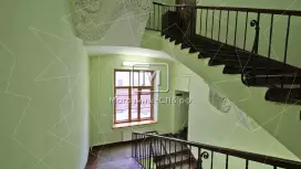 Вектор