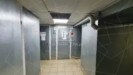 Аренда помещения 239 м2 в ЖК Аренда помещения 239 м2 в ЖК