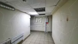 Аренда помещения 239 м2 в ЖК Аренда помещения 239 м2 в ЖК