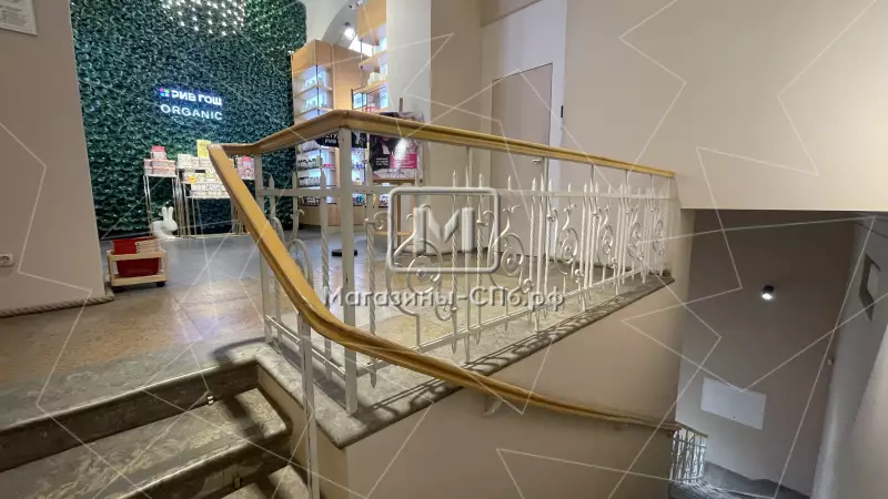 Торговое 690 метров на Невском 98. Фото объекта