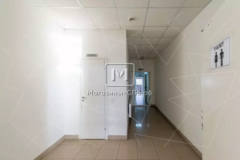 Автосалон 5663,8 м2, свободное назначение 98. Фото объекта