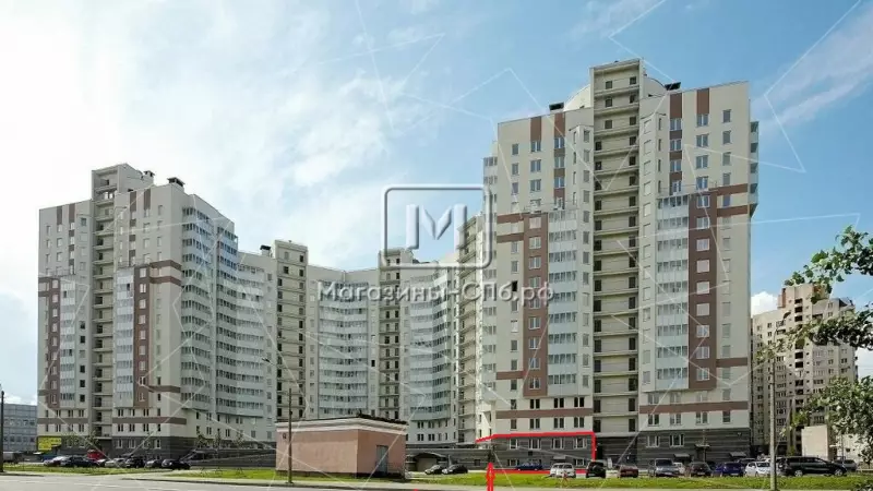 Продажа торгового помещения 352.2 кв.метров в 1,5 км от м "Приморская" 98. Фото объекта