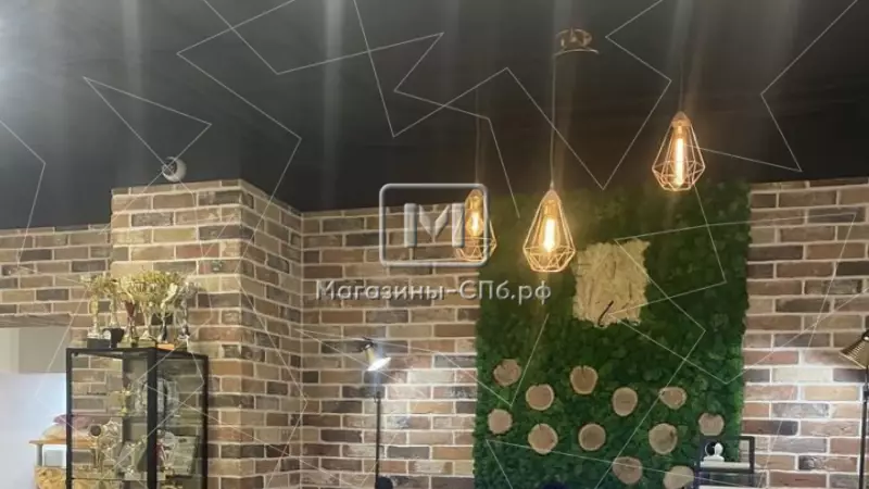 Аренда 80 м в цоколе метро Удельная 98. Фото объекта