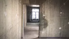 Торговое 113 метров у метро "Парнас" Торговое 113 метров у метро "Парнас"