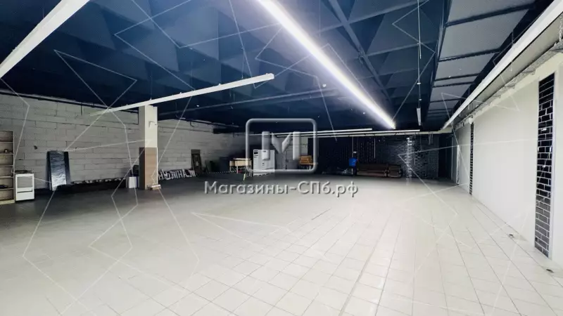 Долгоозерная 12, 200 м2 в ТК 98. Фото объекта