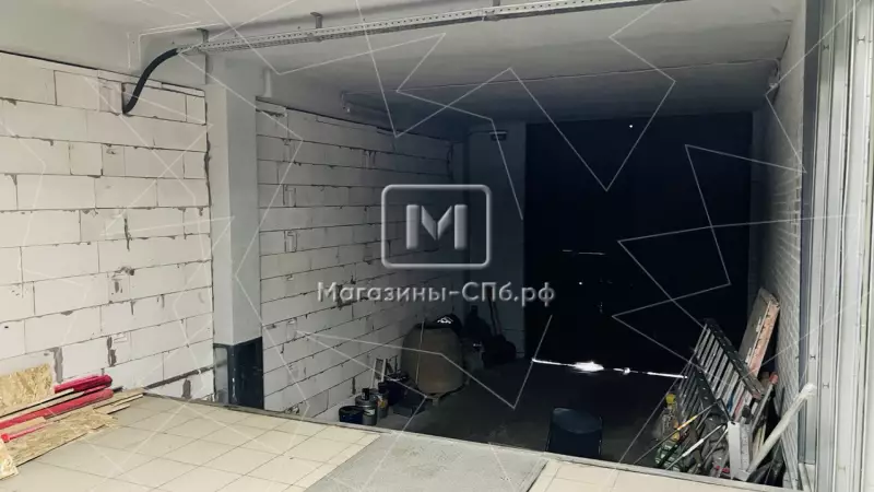 Долгоозерная 12, 200 м2 в ТК 98. Фото объекта