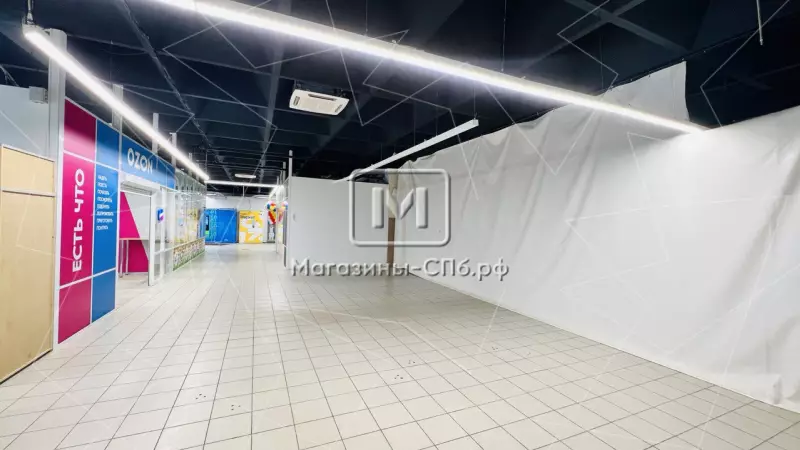 Долгоозерная 12, 200 м2 в ТК 98. Фото объекта