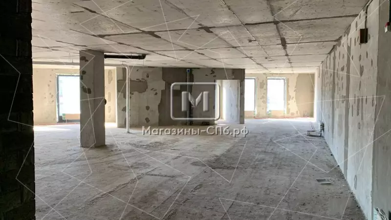 Фасадное 460 м2, можно шуметь 98. Фото объекта