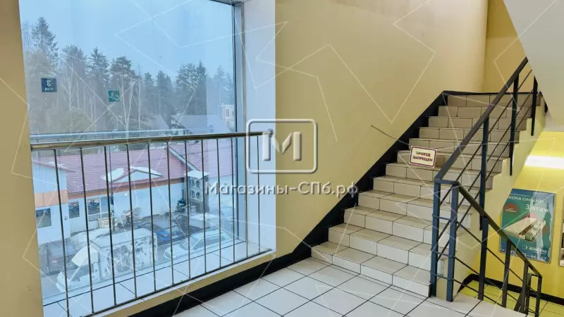 Продажа этажа в ТЦ у станции Всеволожская, 1180 м2 98. Фото объекта