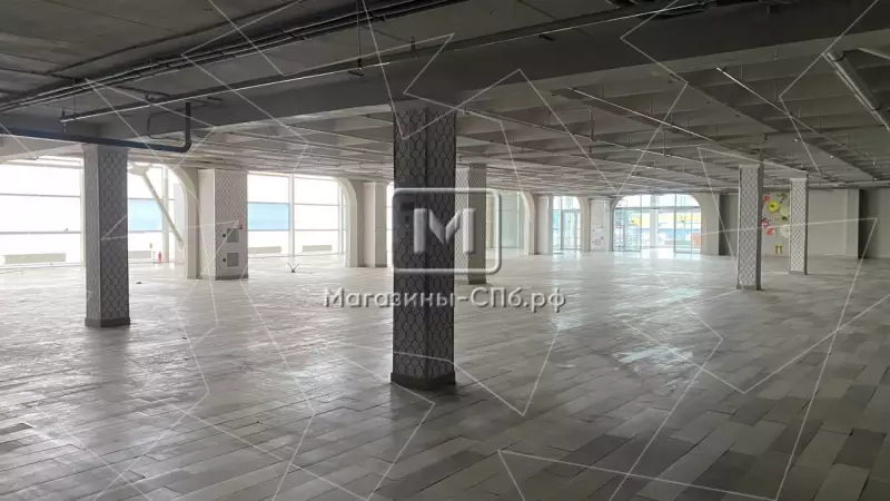 Универсальное, магазин/спорт, 518 м2 98. Фото объекта