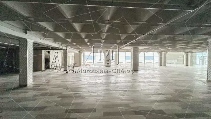 Савушкина 119, бывший SPAR, 1427,6 м2 98. Фото объекта