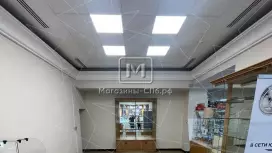 Аренда секции на Невском 55 кв.метров, 1 этаж Аренда секции на Невском 55 кв.метров, 1 этаж