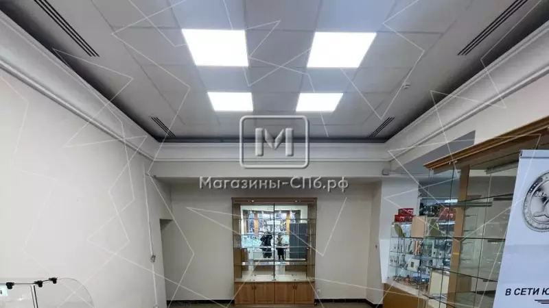 Аренда секции на Невском 55 кв.метров, 1 этаж 98. Фото объекта