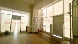 У входа в метро Невский пр У входа в метро Невский пр