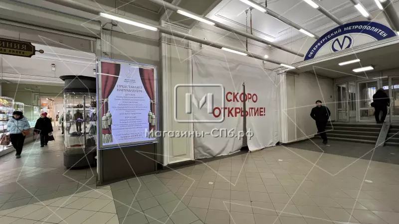 У входа в метро Невский пр 98. Фото объекта