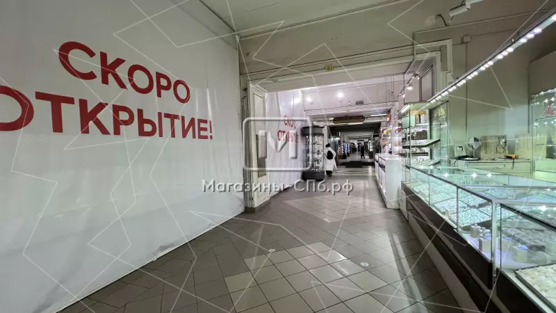У входа в метро Невский пр 98. Фото объекта