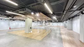 Универсальное 840 м2 в ТЦ у метро Универсальное 840 м2 в ТЦ у метро