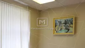 Аренда офиса с мебелью 266 кв.метров, 1 этаж Аренда офиса с мебелью 266 кв.метров, 1 этаж
