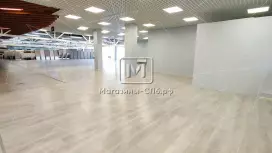 Отдел в мебельном центре 244 м2, витрины на улицу