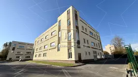 Свободное назначение 260 м2, высокий потолок