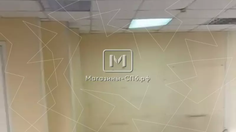 Аренда торгового помещения 53.5 кв.метров, 1 этаж 98. Фото объекта