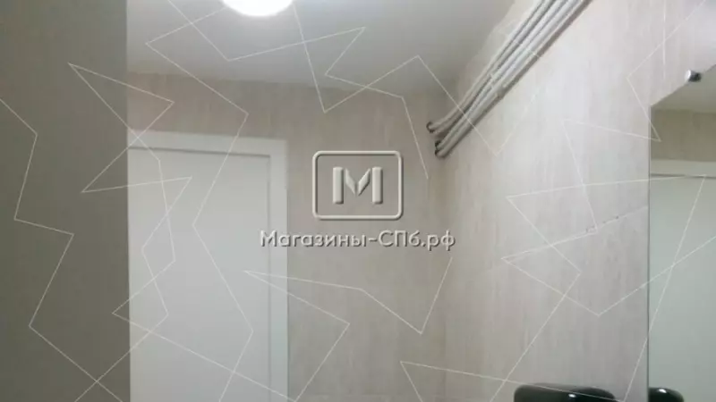 Аренда торгового помещения 242.5 кв.метров, Цоколь 98. Фото объекта