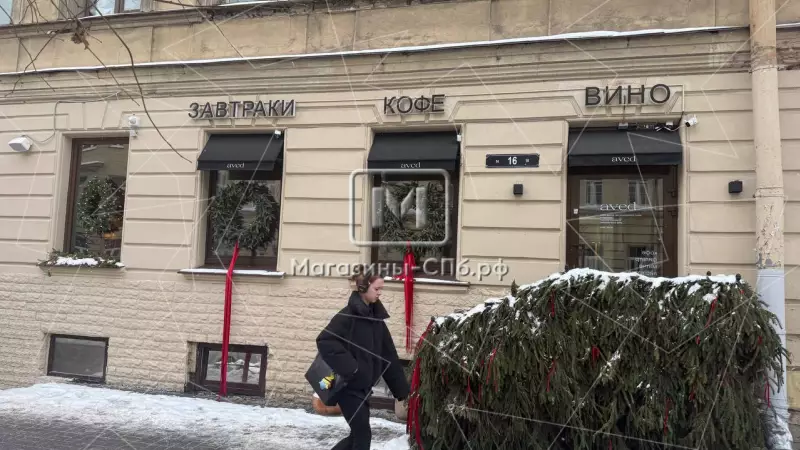 1. Фасад фронтальная