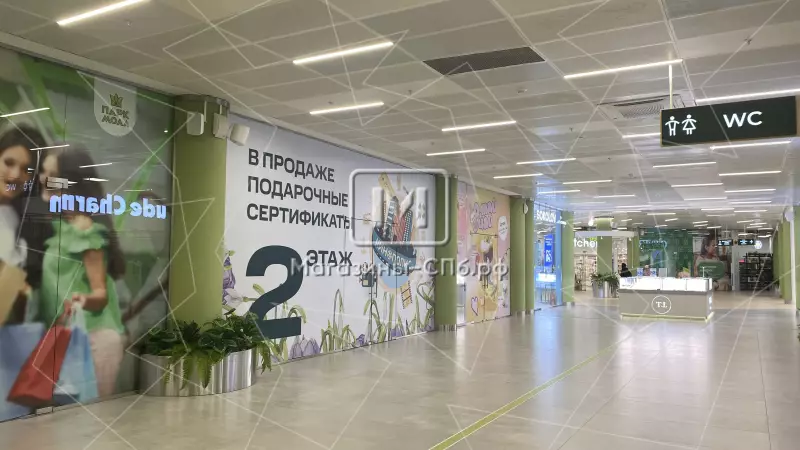 Отдел в новом ТЦ на просвещения 98. Фото объекта