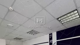 На 1 линии на трафике 80.1 кв.метров, 1 этаж