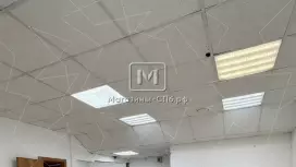 На 1 линии на трафике 80.1 кв.метров, 1 этаж