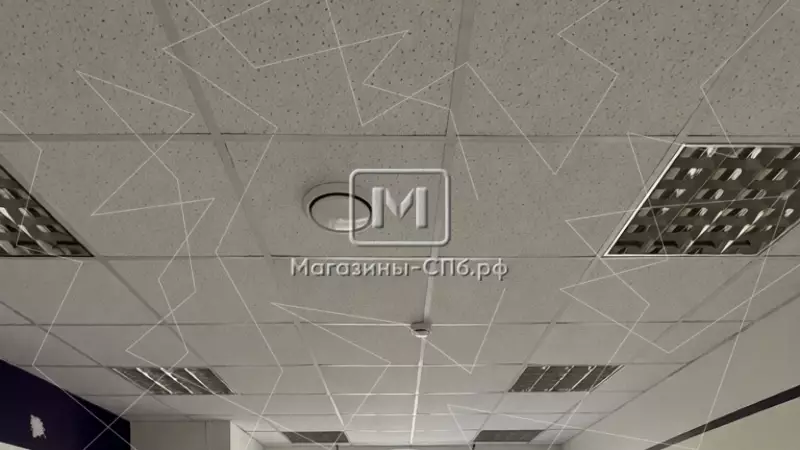 98. Фото объекта