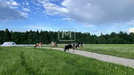 Фермерское хозяйство у озера, 40 га, агротуризм Фермерское хозяйство у озера, 40 га, агротуризм