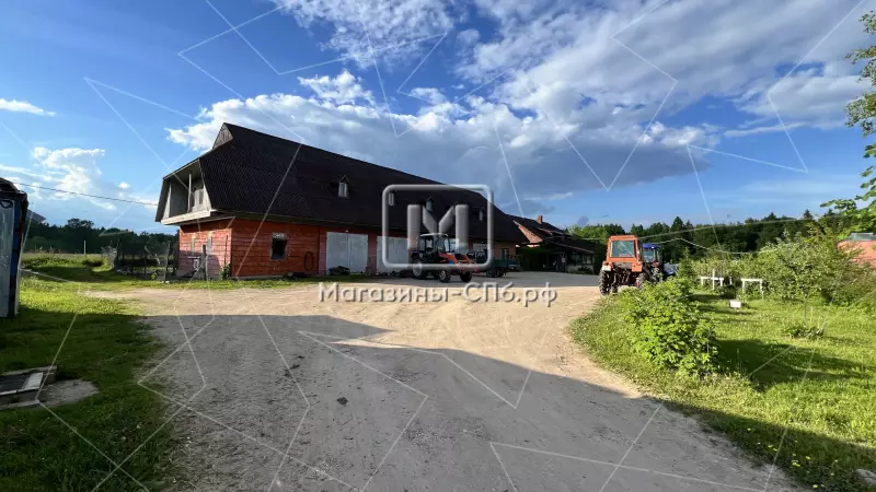 Фермерское хозяйство у озера, 40 га, агротуризм 98. Фото объекта